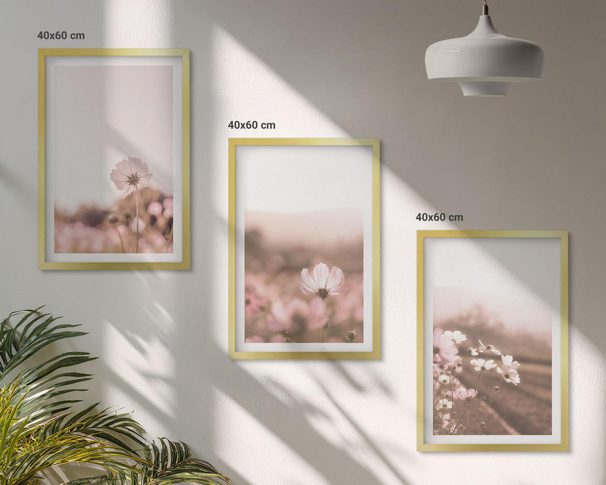 BILDER SET 3er Set - 40x60 cm Goldrahmen - Sommerlandschaften mit Wildblumenwiesen - Goldfarben, Kunststoff (40/60cm) - TULUP