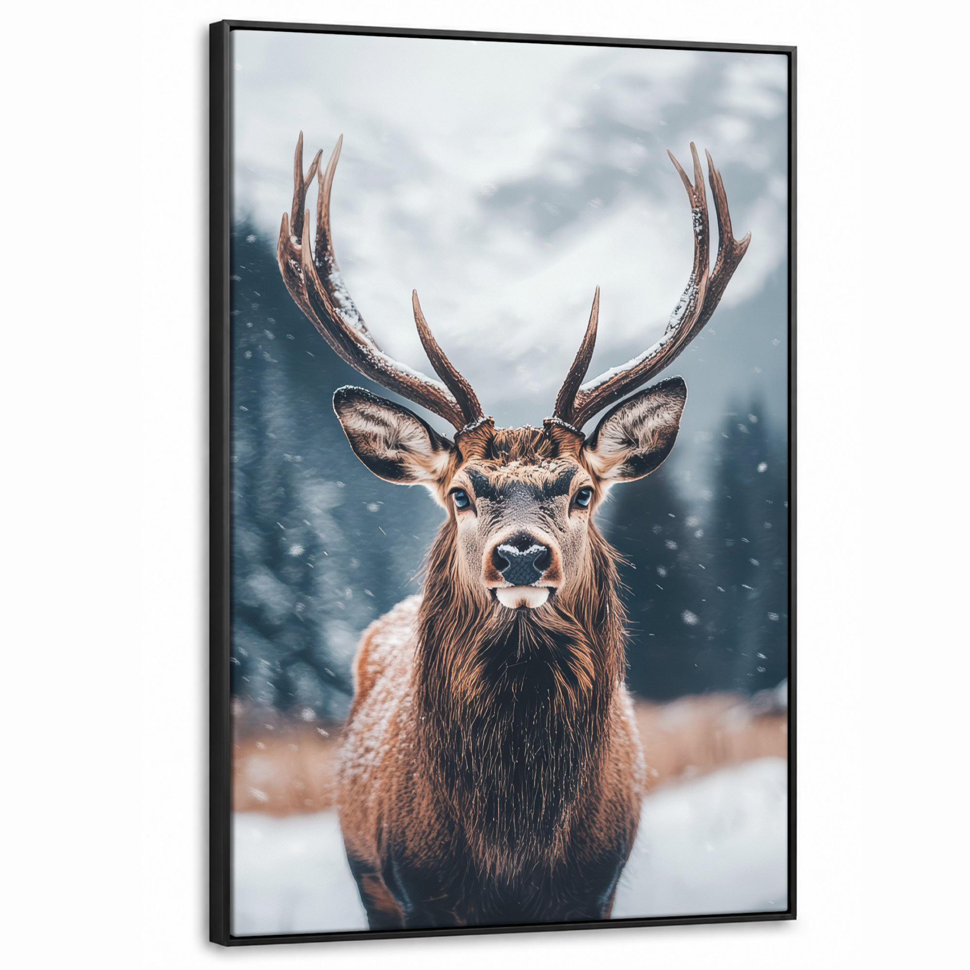 MuchoWow Leinwand Kastanien 100x150 cm