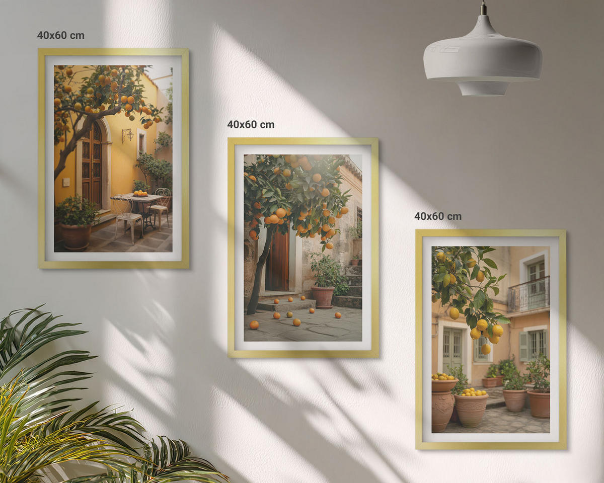 BILDER SET 3er Set - 40x60 cm Goldrahmen - Garten-Zitrus-Sonne - Goldfarben, Kunststoff (40/60cm) - TULUP