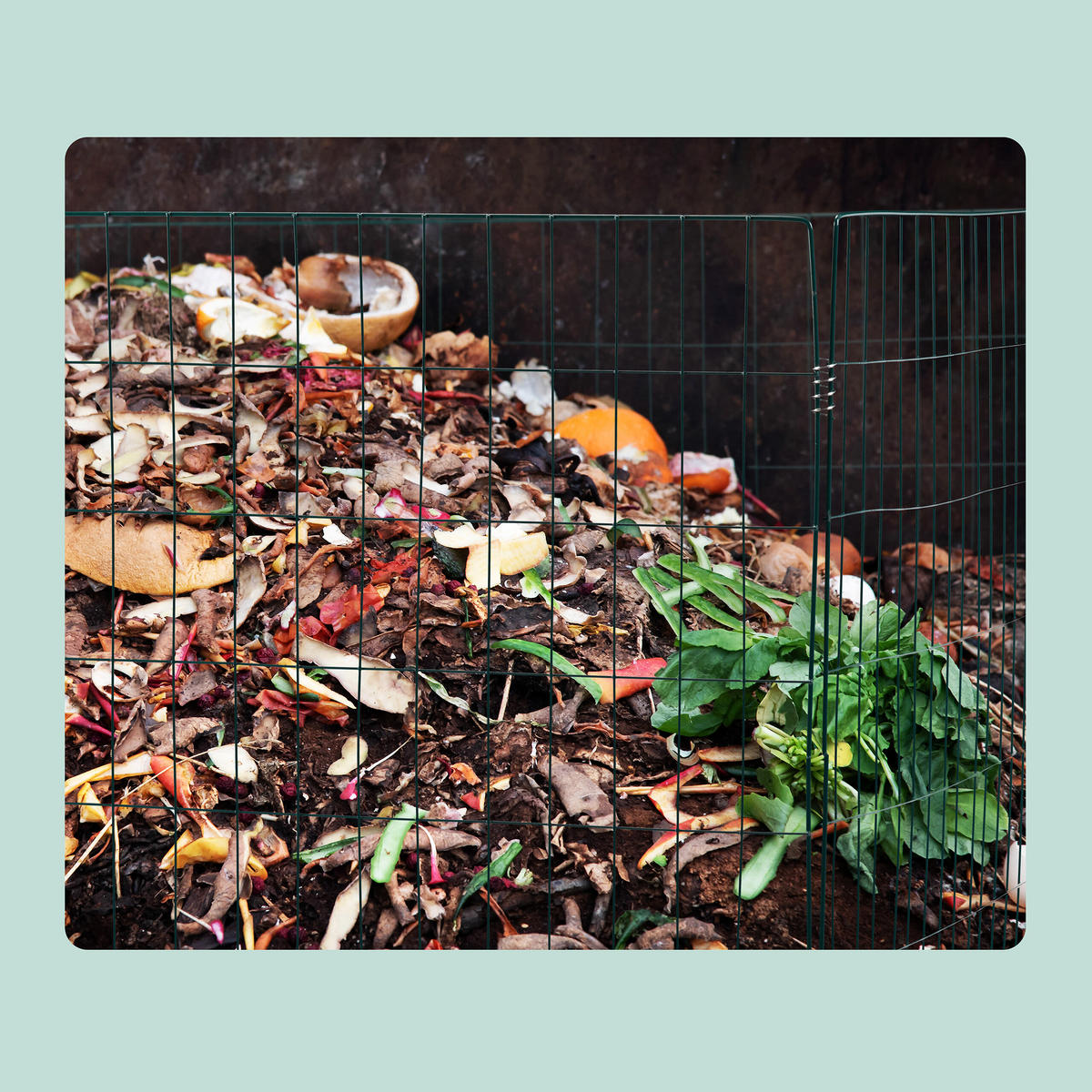 3XKOMPOSTER - Dunkelgrün, Metall (90/70/90cm) - Relaxdays