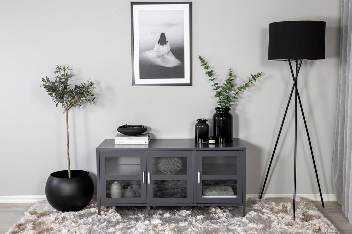 TV-ELEMENT Hellgrau - Hellgrau, Holzwerkstoff (120/58/48cm) - ebuy24