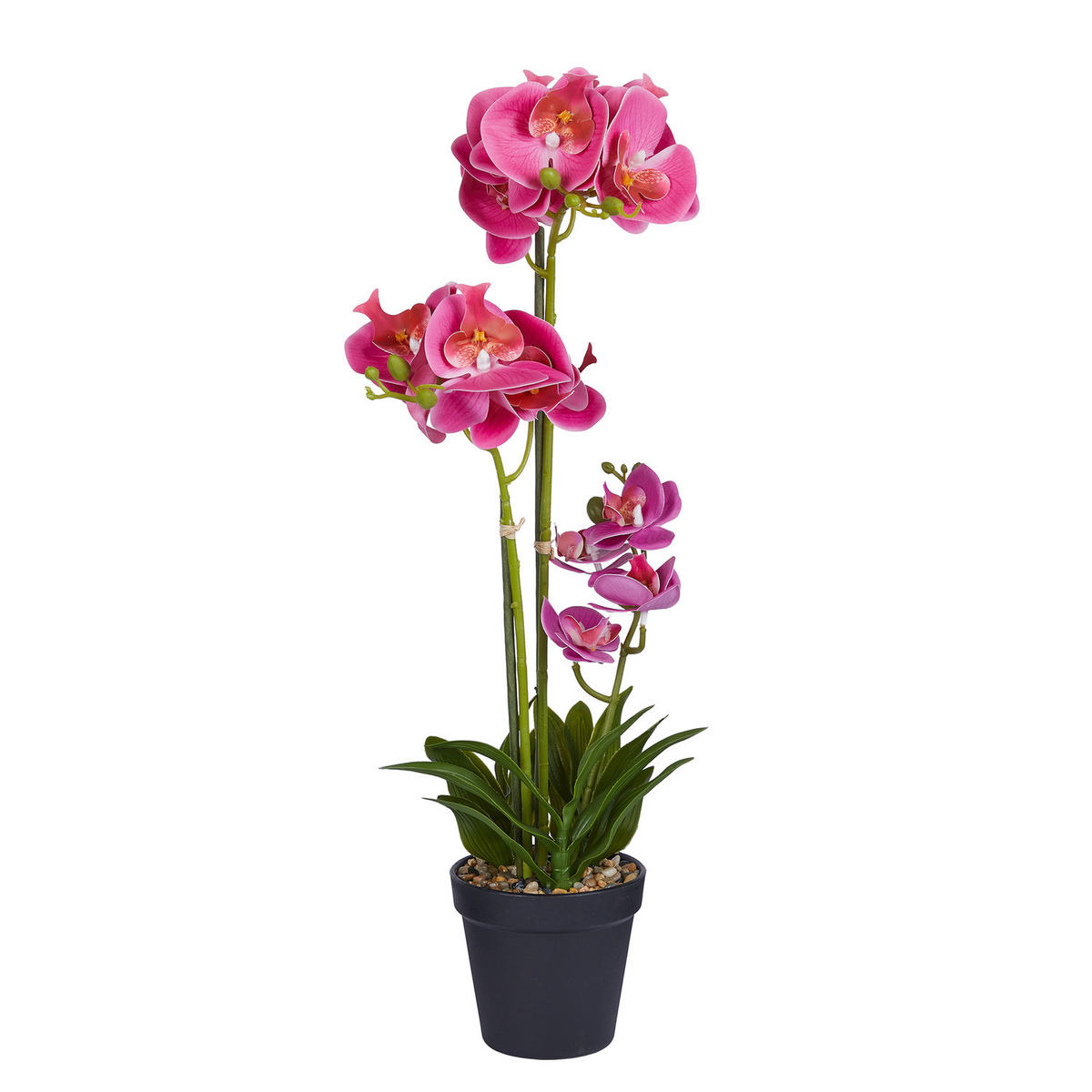 KUNSTBLUME Florista Orchidee - Pink, Kunststoff (51cm) - Butlers
