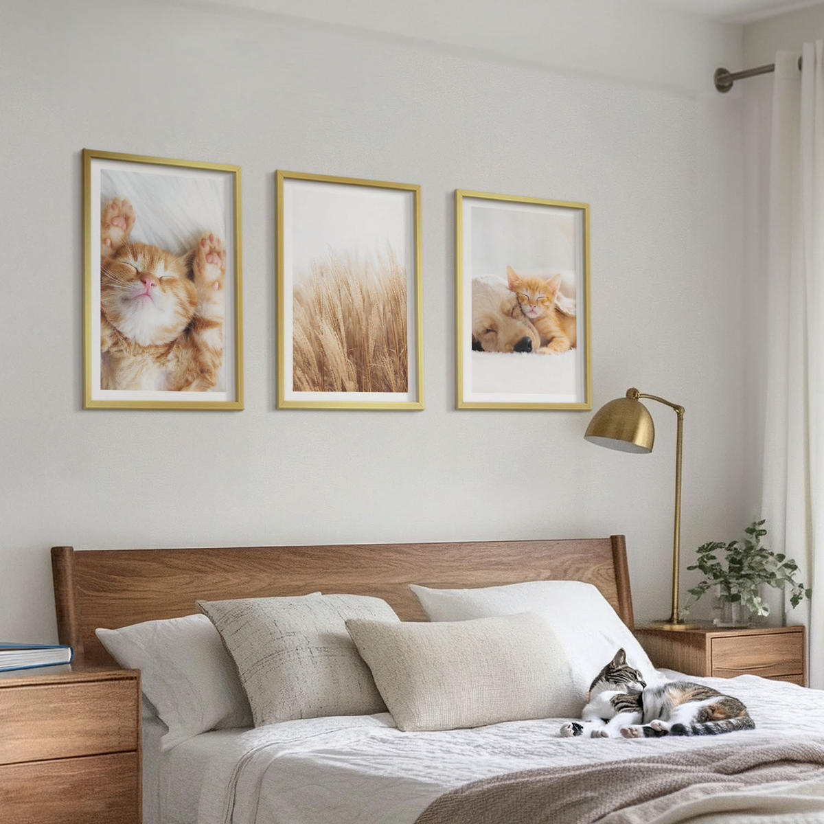 BILDER SET 3er Set - 40x60 cm Goldrahmen - Niedliche Tiere, Katzen, Hunde, Boho-Stil - Goldfarben, Kunststoff (40/60cm) - TULUP