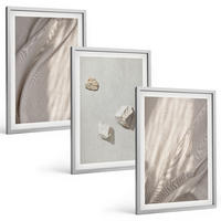 BILDER SET 3er Set - 40x60 cm Silberner Rahmen - Nahaufnahmen der Struktur im Boho-Stil - Silberfarben, Kunststoff (40/60cm) - TULUP