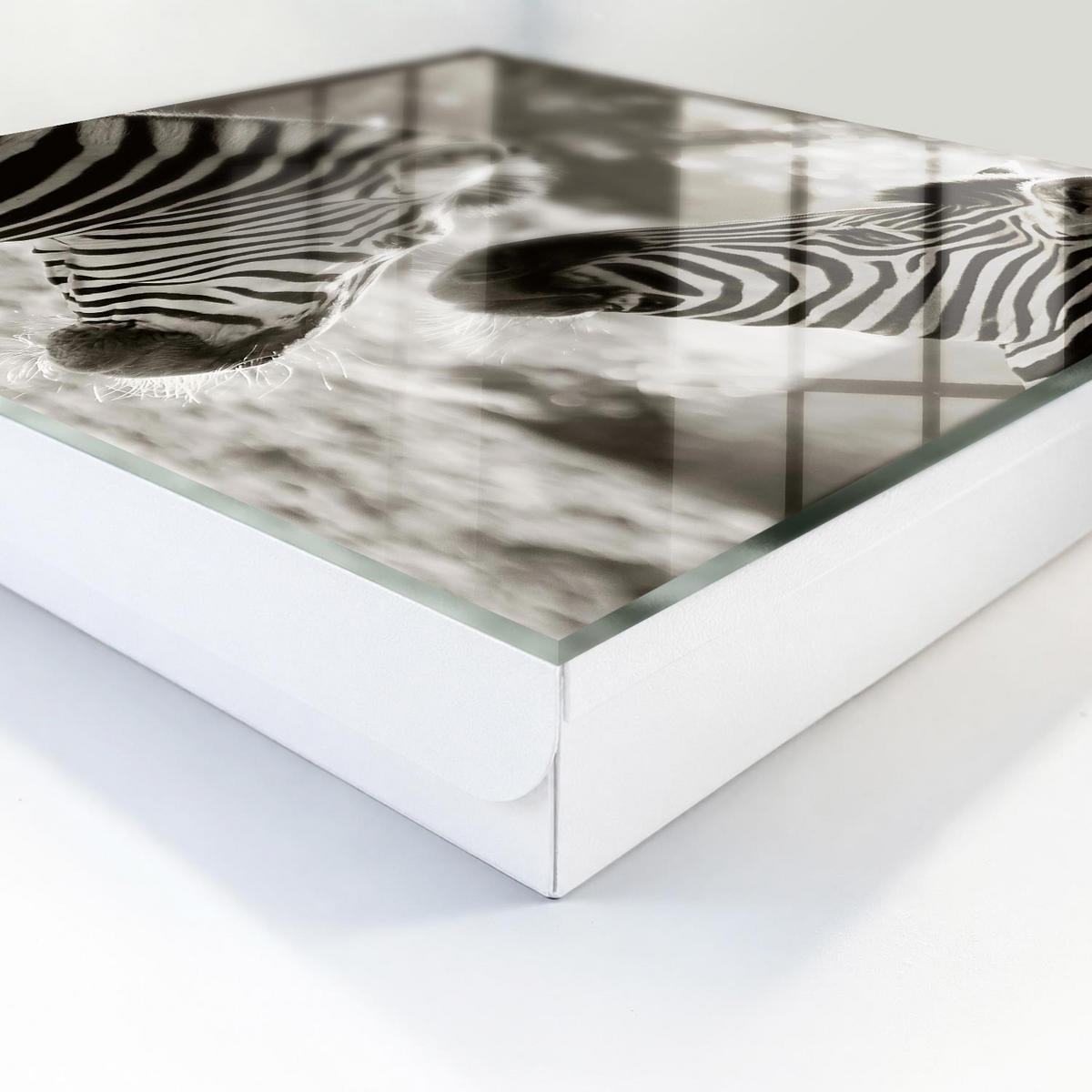 SCHLÜSSELBOX Weiß 30x30 cm – Türöffnung nach rechts - Zebras zusammen - Multicolor, Metall (30/30/5cm) - TULUP