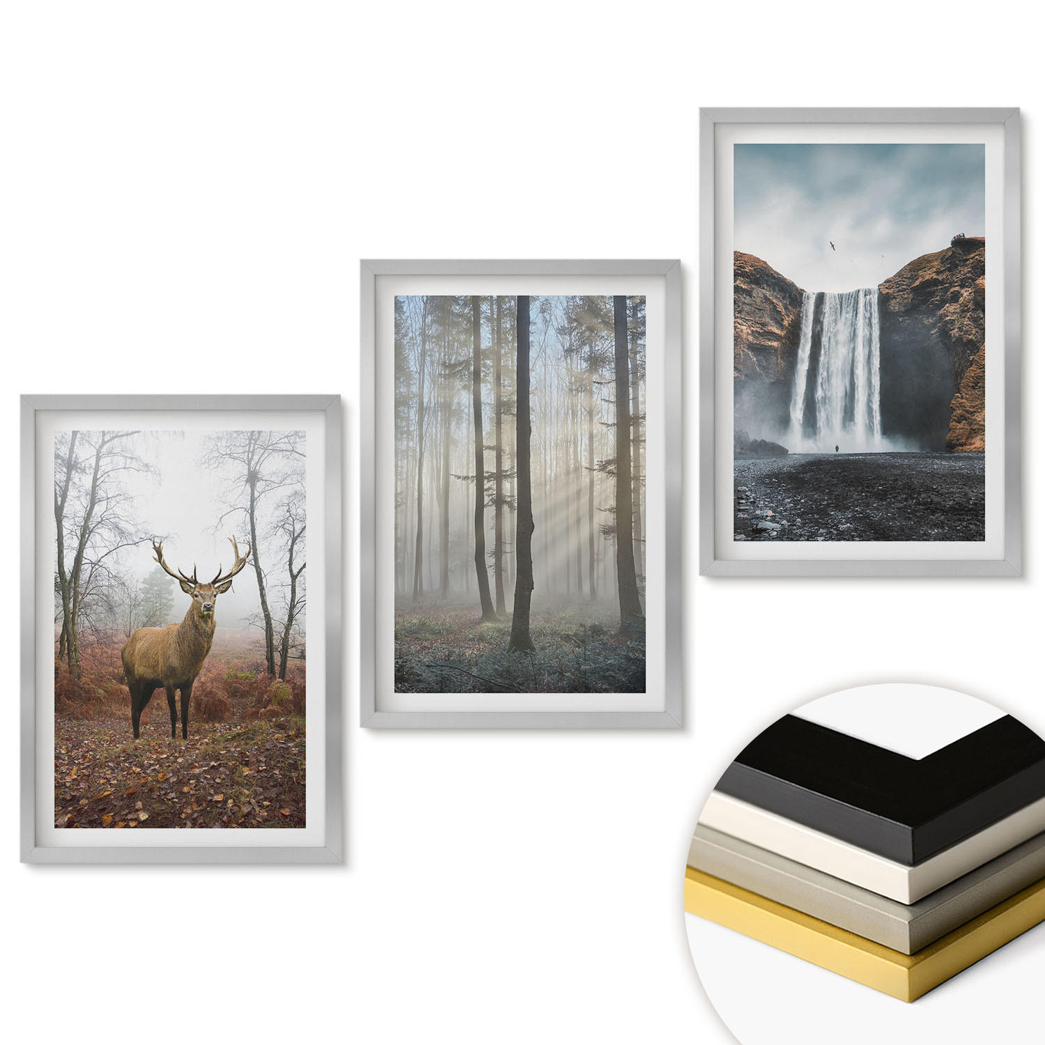 WANDBILDER 3er Set - 40x60 cm Silberner Rahmen - Waldlandschaften, wilde Natur - Silberfarben, Kunststoff (40/60cm) - ArtPrintCave