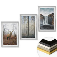 WANDBILDER 3er Set - 40x60 cm Silberner Rahmen - Waldlandschaften, wilde Natur - Silberfarben, Kunststoff (40/60cm) - ArtPrintCave