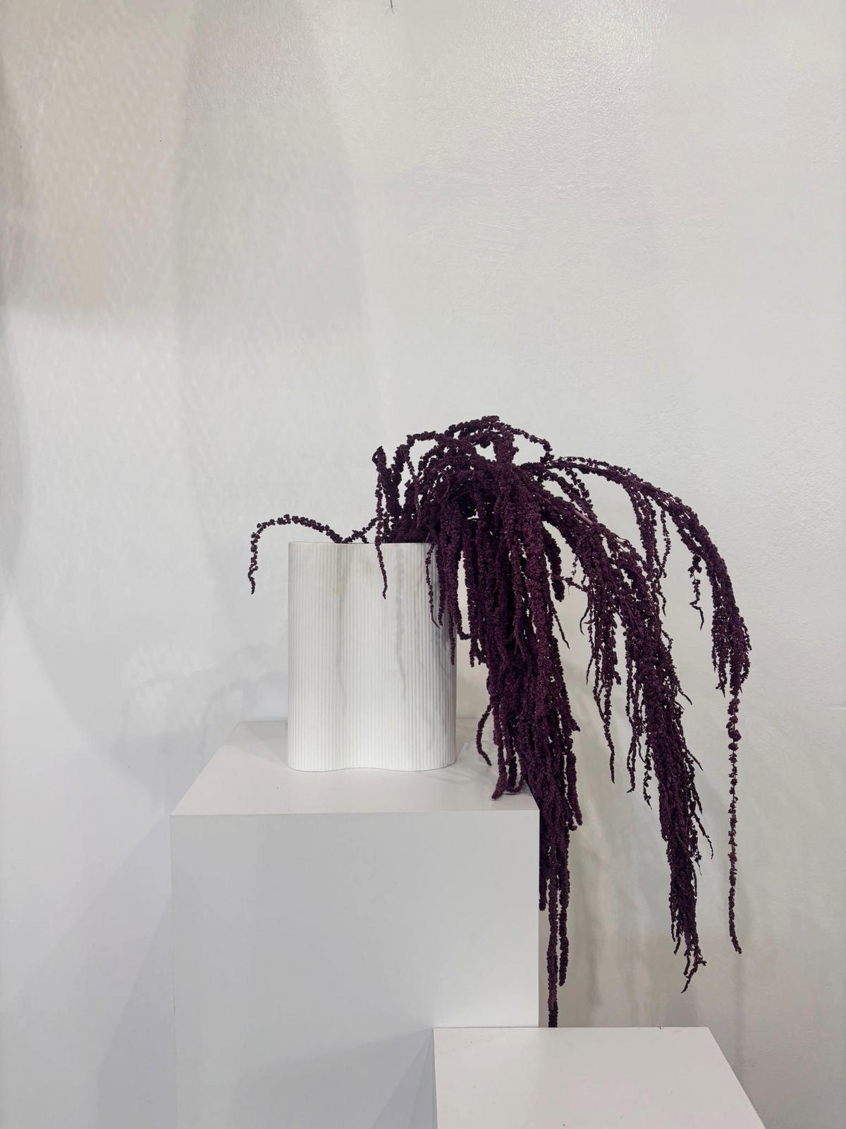 AMARANTHUS Stiele - curry / 30 cm - Currygelb, Naturmaterialien (30cm) - Lykke & You