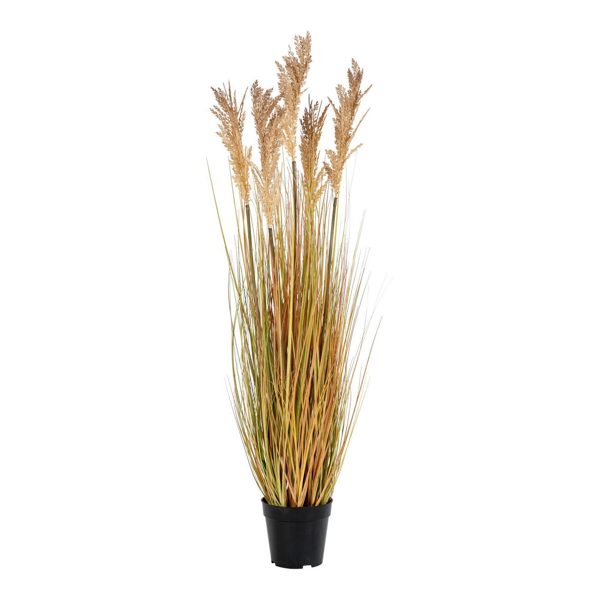SORGHUMGRAS Pe Kunststoff, Polyester, Draht, Zement Natur - Naturfarben, Kunststoff (110cm) - tinkaro