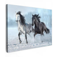 LEINWANDBILD Pferde - Winter - Tiere - Natur - Schnee Wandbilder 80x60 cm - Anthrazit, Textil (80/60cm) - MuchoWow