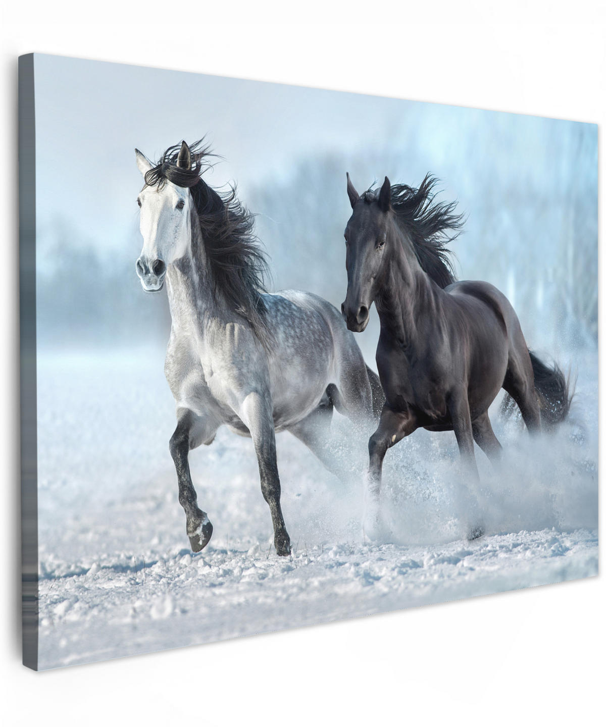 LEINWANDBILD Pferde - Winter - Tiere - Natur - Schnee Wandbilder 80x60 cm - Anthrazit, Textil (80/60cm) - MuchoWow