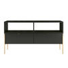 LOWBOARD Polka, Schwarz, Goldene Details - Goldfarben/Schwarz, Holzwerkstoff/Metall (120/65/37cm) - Skandica