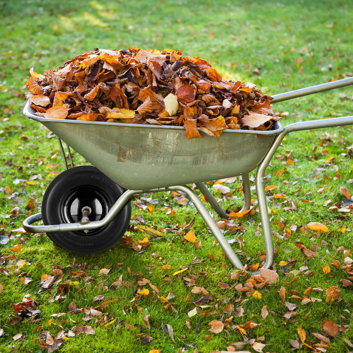 SCHUBKARRENRAD - Schwarz, Kunststoff/Metall (39/39/9cm) - Relaxdays