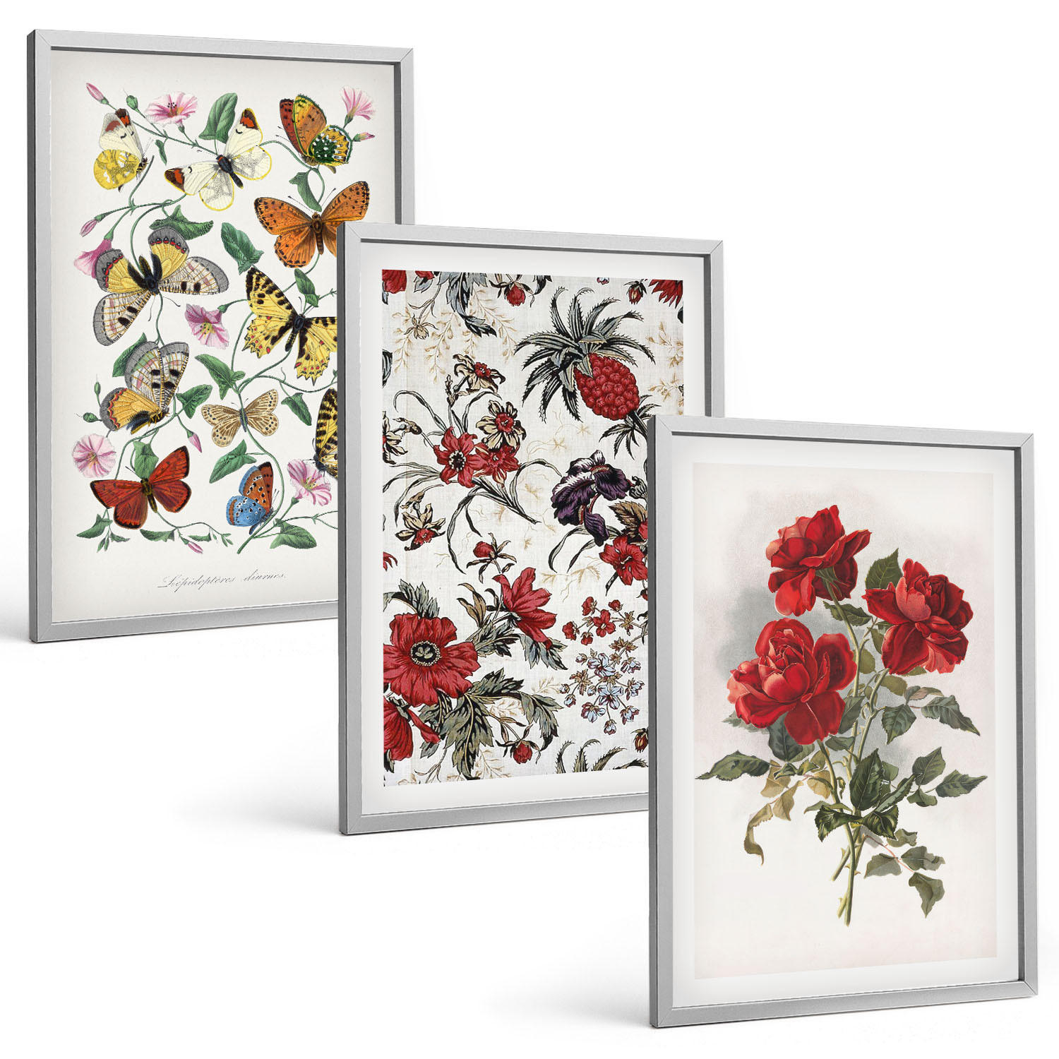 BILDER SET 3er Set - 40x60 cm Silberner Rahmen - Schmetterlinge, Blumen, rote Rosen - Silberfarben, Kunststoff (40/60cm) - TULUP