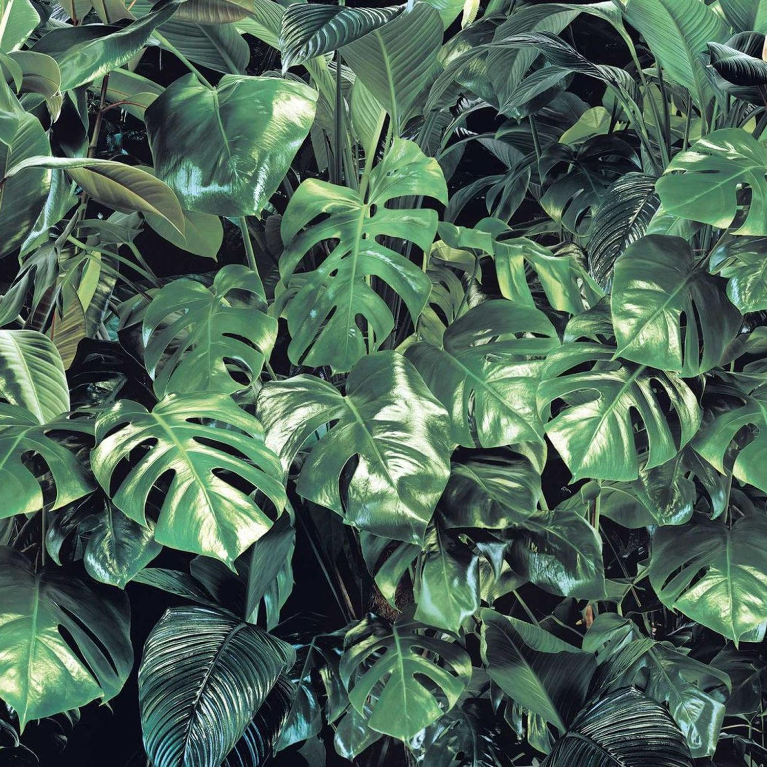 FOTOTAPETE Blätter 368 x 254 cm - Grün, Papier (368/254cm) - Sanders & Sanders