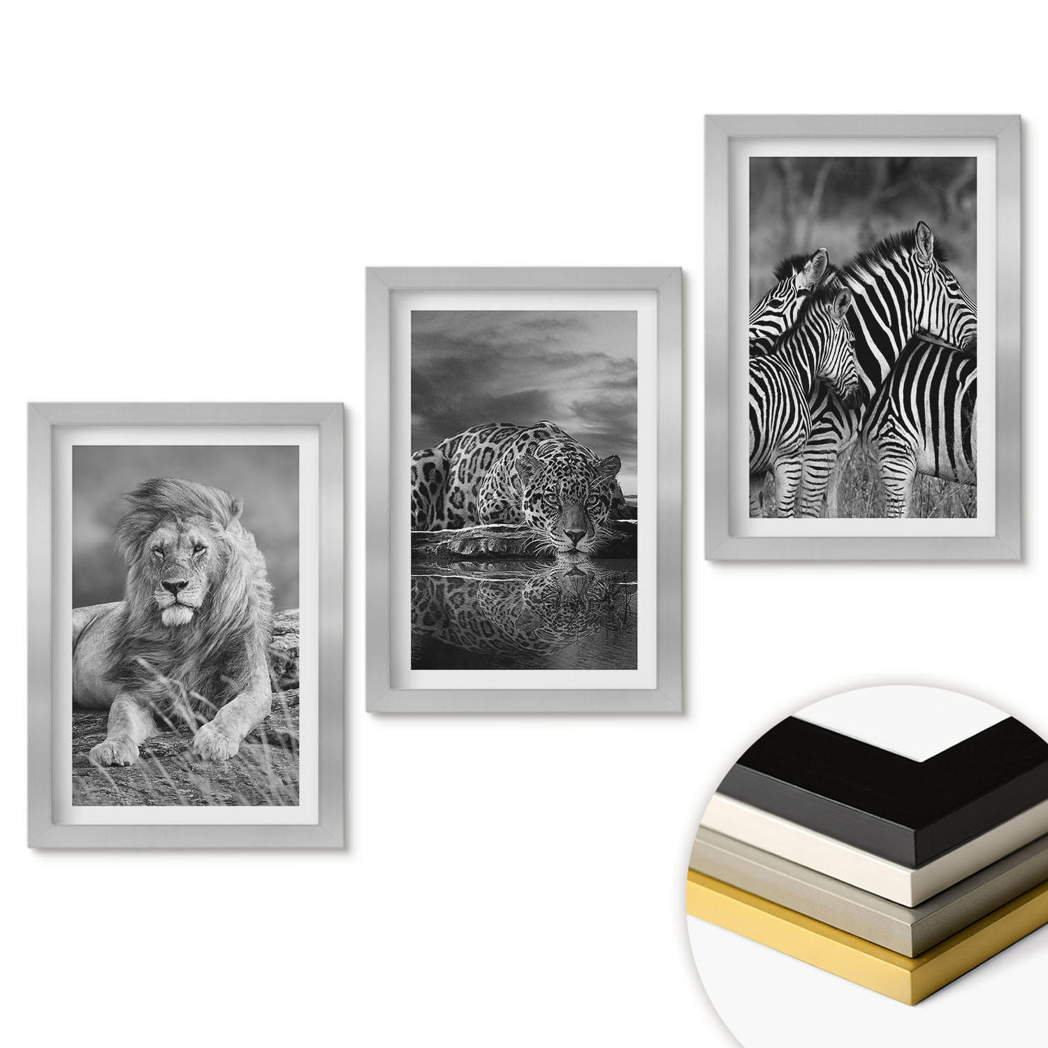 WANDBILDER 3er Set - 20x30 cm Silberner Rahmen - Wildtiere der Savanne - Silberfarben, Kunststoff (20/30cm) - ArtPrintCave