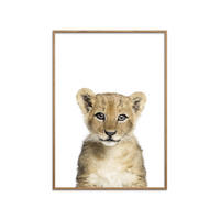 POSTER mit Rahmen Kathrin Pienaar - Baby Lion - Eichefarben/Weiß, Holz/Papier (70/100cm) - Poster&Frame