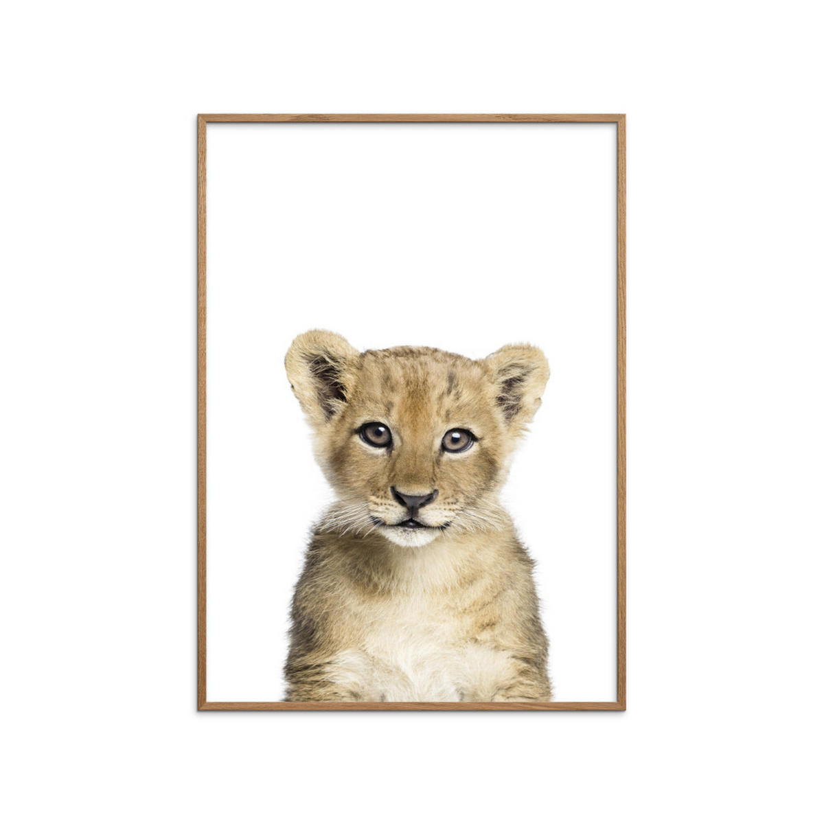 POSTER mit Rahmen Kathrin Pienaar - Baby Lion - Eichefarben/Weiß, Holz/Papier (70/100cm) - Poster&Frame