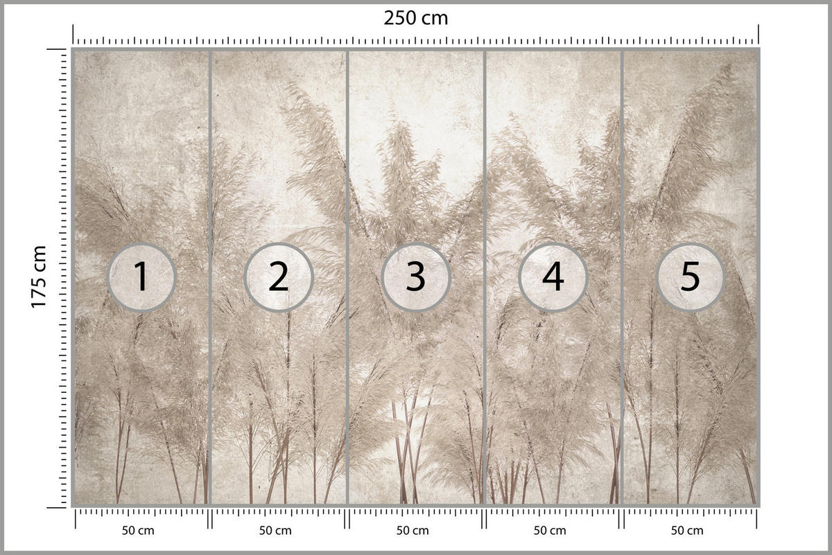 FOTOTAPETE für Schlafzimmer Pampasgras Vintage Beige Boho 250x175 - Beige/Braun, Papier (250/175cm) - Muralo