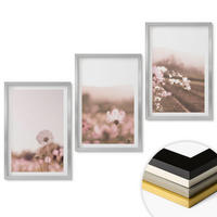 WANDBILDER 3er Set - 40x60 cm Silberner Rahmen - Sommerlandschaften mit Wildblumenwiesen - Silberfarben, Kunststoff (40/60cm) - ArtPrintCave