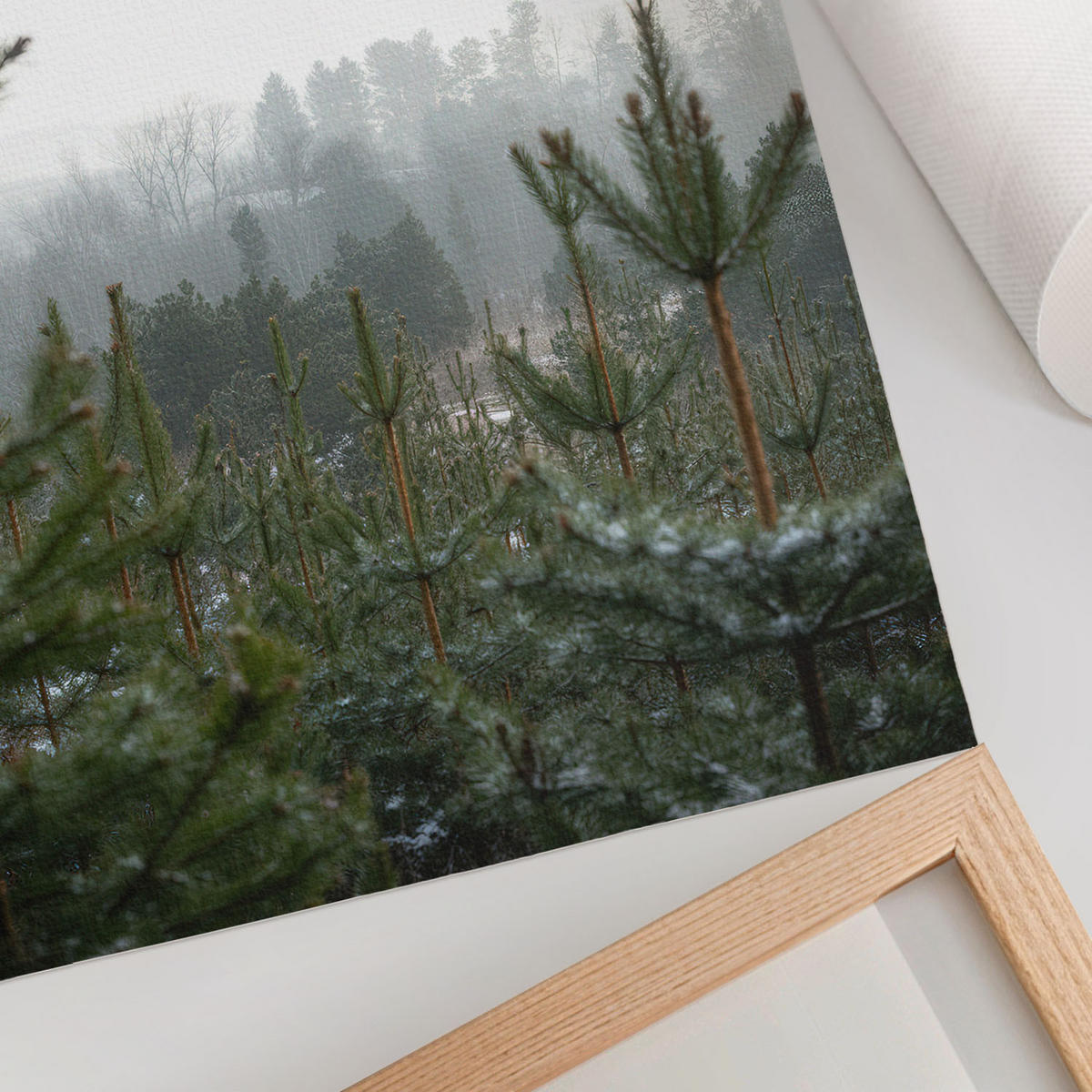 POSTER - 21x29 cm - digitalPhoto - Grüne Nadelbäume - Grün, Textil (21/29.7/0.1cm) - TULUP