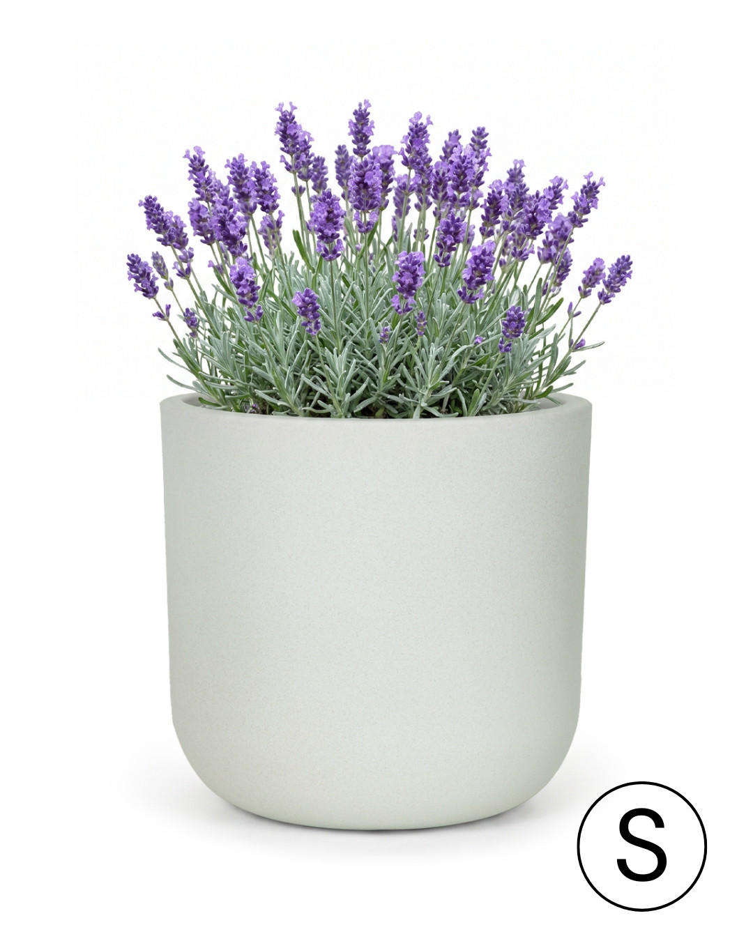 BLUMENTOPF Weiß Ecru ELEGANTE S 30x30x28 cm - Hellgrau, Kunststoff (28cm) - Mazovia
