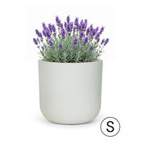 BLUMENTOPF Weiß Ecru ELEGANTE S 30x30x28 cm - Hellgrau, Kunststoff (28cm) - Mazovia