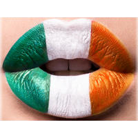 LEINWAND Bild Flaggen Irland 30/40 cm - Multicolor, Textil (40/30cm) - TiborTex