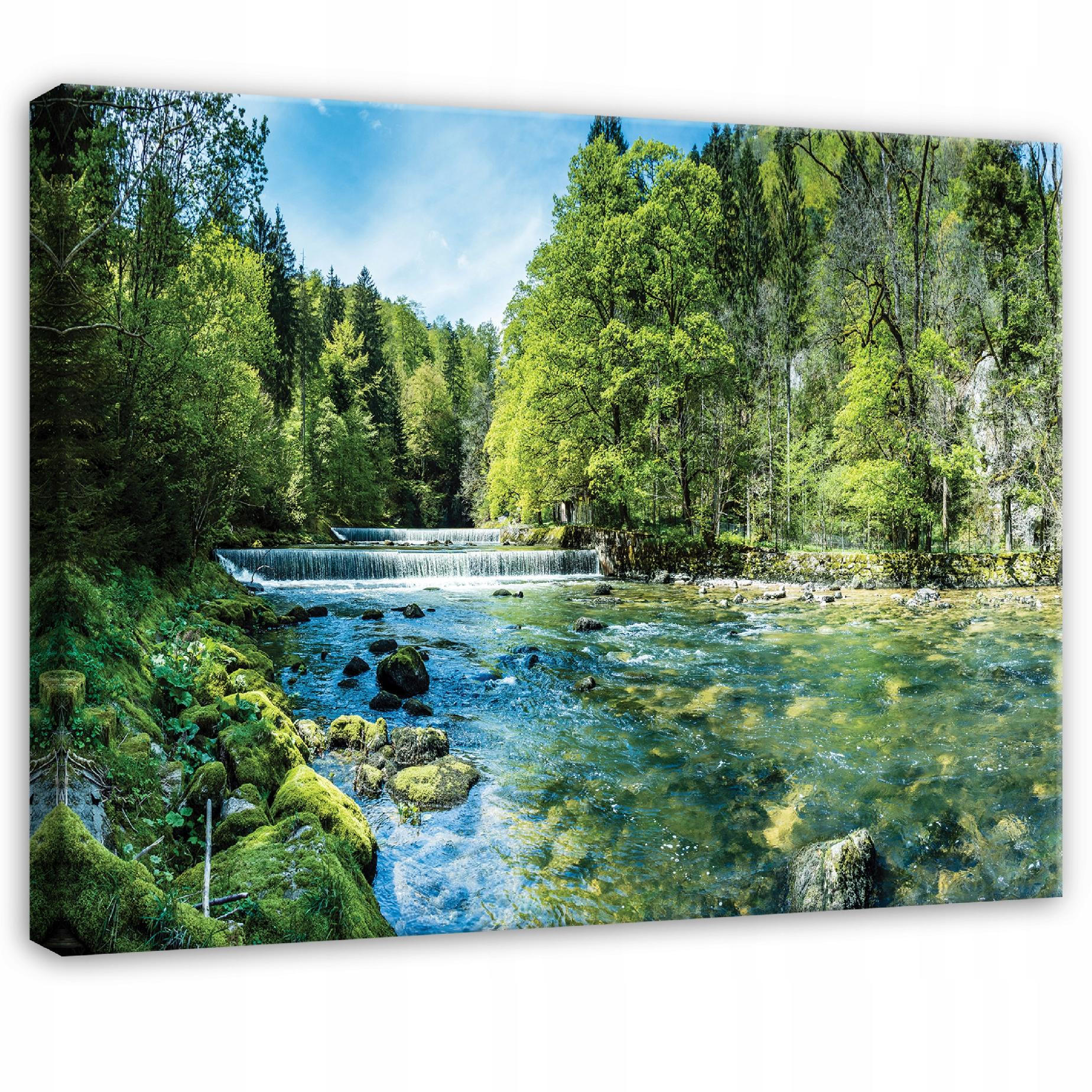 LEINWANDBILD Wald Fluss Grün 100x70 cm - Multicolor, Holzwerkstoff (100/70cm) - Wallarena