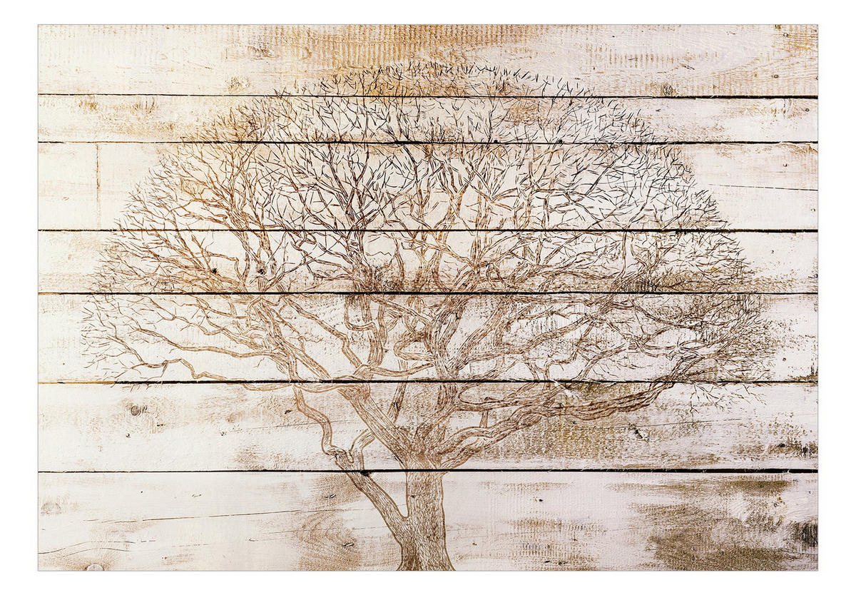 VLIESTAPETE Braun 200/140 cm - Braun, Textil (200/1cm) - KUNSTLOFT