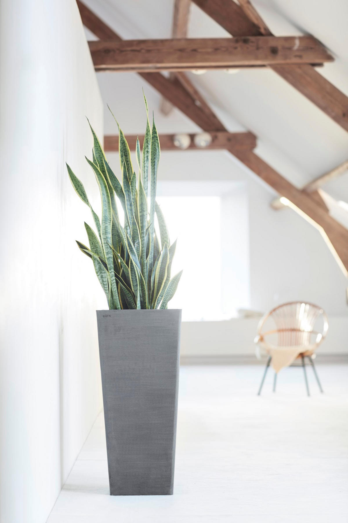 BLUMENTOPF Rotterdam High 32,7/32,7/70,5 cm Grau - Grau, Kunststoff (32.7/70.5cm) - Ecopots