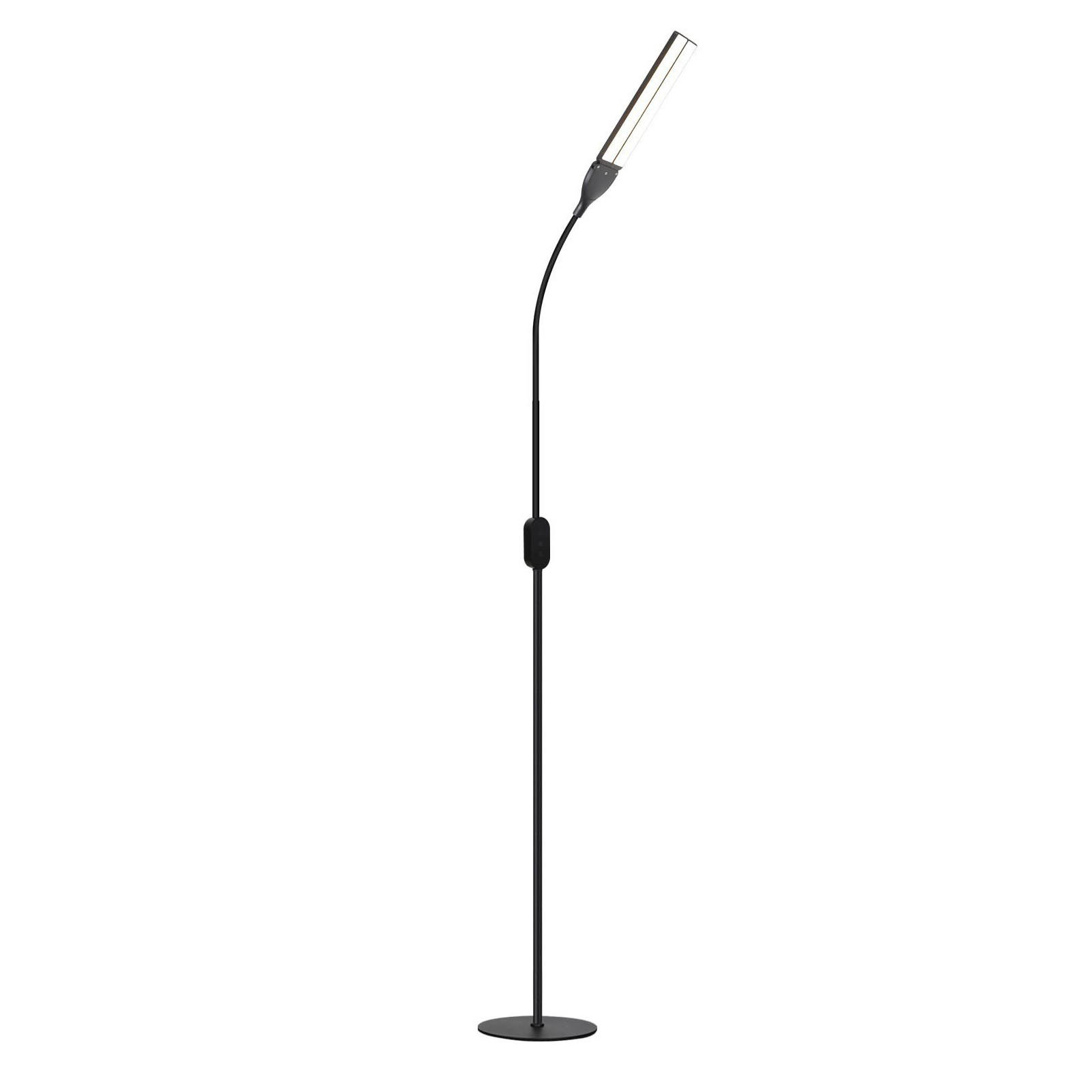 STEHLEUCHTE Duisburg 44/22/158 cm - Schwarz, Metall (32/32/166cm) - Nettlife