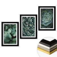 WANDBILDER 3er-Set - 20x30 cm Schwarzer Rahmen - Sukkulenten im Stil grüner Blätter - Schwarz, Kunststoff (20/30cm) - ArtPrintCave