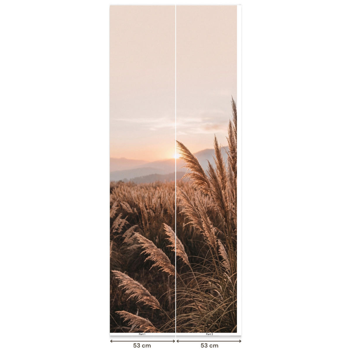 TAPETE - Gras - Feld - Sonne - Natur - 100x240 cm - Sandfarben, Papier (100/240cm) - OnlyWow