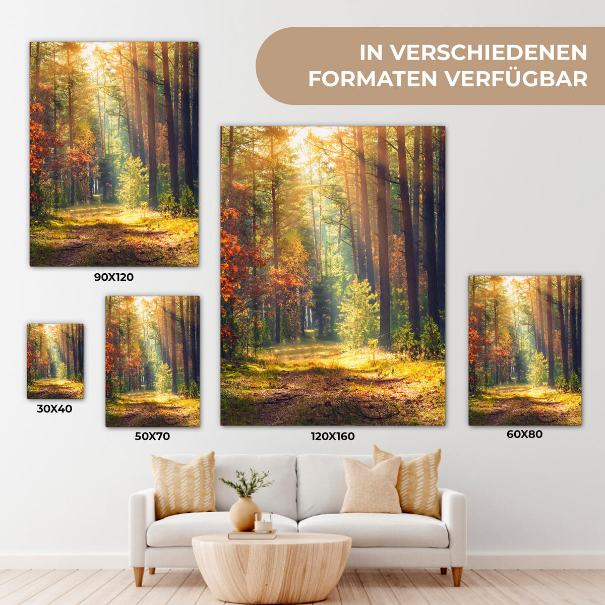 LEINWANDBILD Wald - Herbst - Bäume 30x40 cm - Dunkelgrün, Textil (30/40cm) - MuchoWow