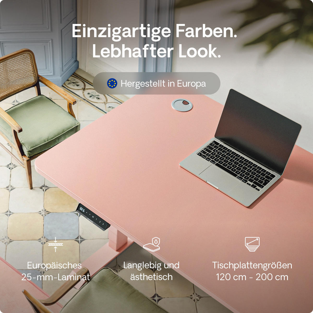 SCHREIBTISCH Elektrisch Höhenverstellbarer HomePro 120x60cm Rosa/Rosa mit Memory-Funktion, Anti-Kollisions Technologie - Pink, Holzwerkstoff (60/120/72cm) - Desktronic