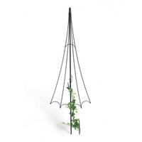 RANKHILFE Garten Metall Schwarz Regenschirm - Schwarz, Metall (48/147/0.6cm) - DanDiBo