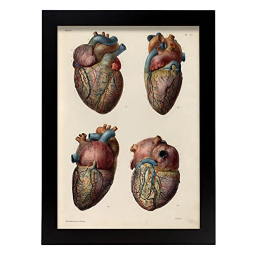 Nacnic Poster Klar 29.7x5x21 cm