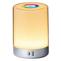 LED-TISCHLEUCHTE - dimmbar mit Farbwechsel, Touch-Taste und USB-Ladeports in Silber - Silberfarben, Kunststoff (10.6/10.6/14.6cm) - Northpoint