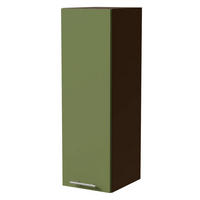 HÄNGESCHRANK Brerra W4/30 Lava / RAL 6025 farngrün Matt 30 / 32,5 / 96cm - Dunkelgrau/Grün, Holz/Holzwerkstoff (30/96/32.5cm) - Feldmann-Wohnen