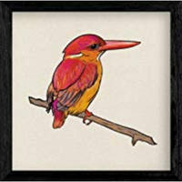 POSTER Platz Vogelzeichnungen Pajarito 20X20cm Rahmenlos - Klar, Papier (20/5/20cm) - Nacnic