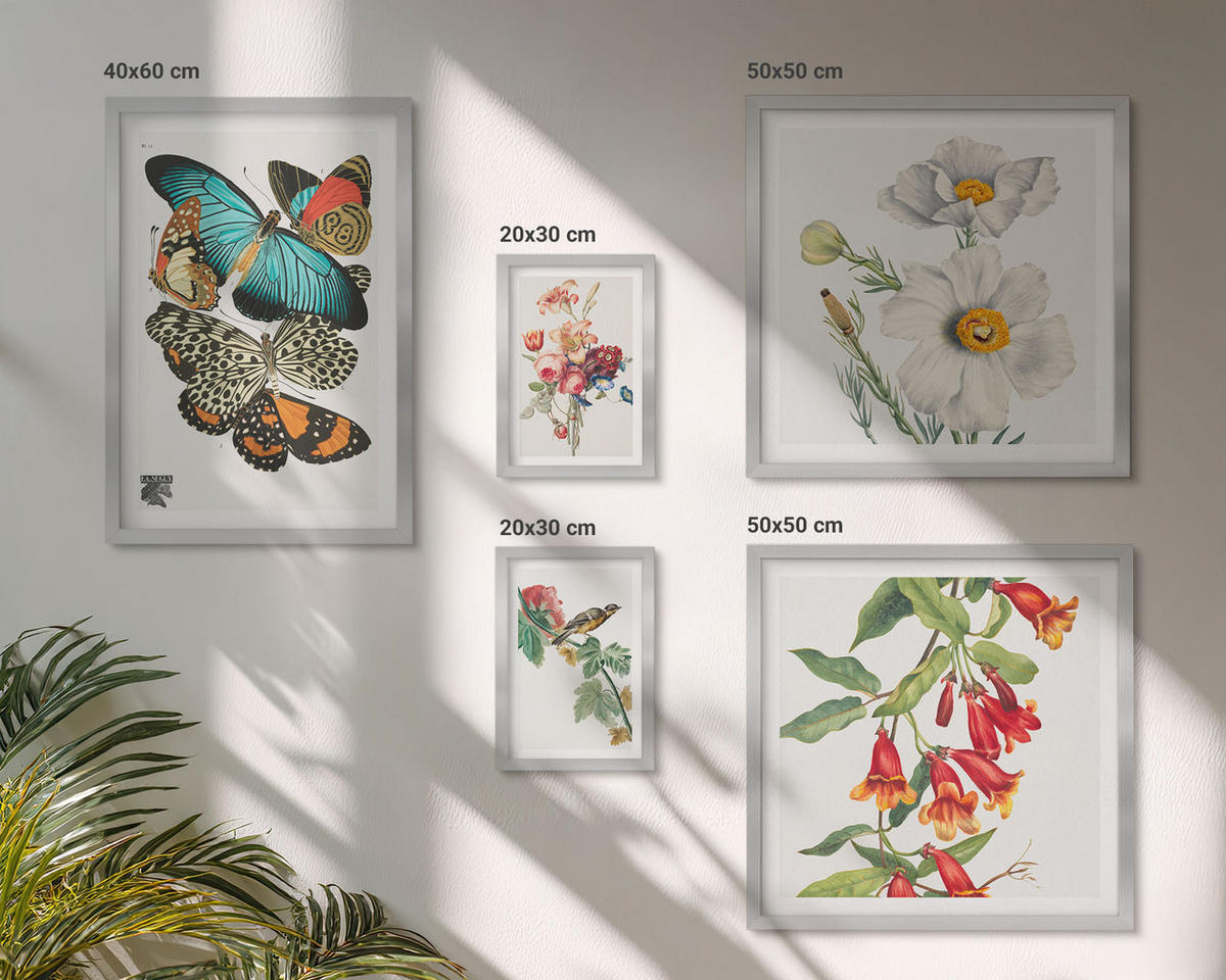 BILDER SET 5er Set - 50x50 cm & 20x30 cm & 40x60 cm Silberner Rahmen - Blumen, Schmetterlinge, Vögel, Pastellfarben - Silberfarben, Kunststoff (40/60cm) - TULUP