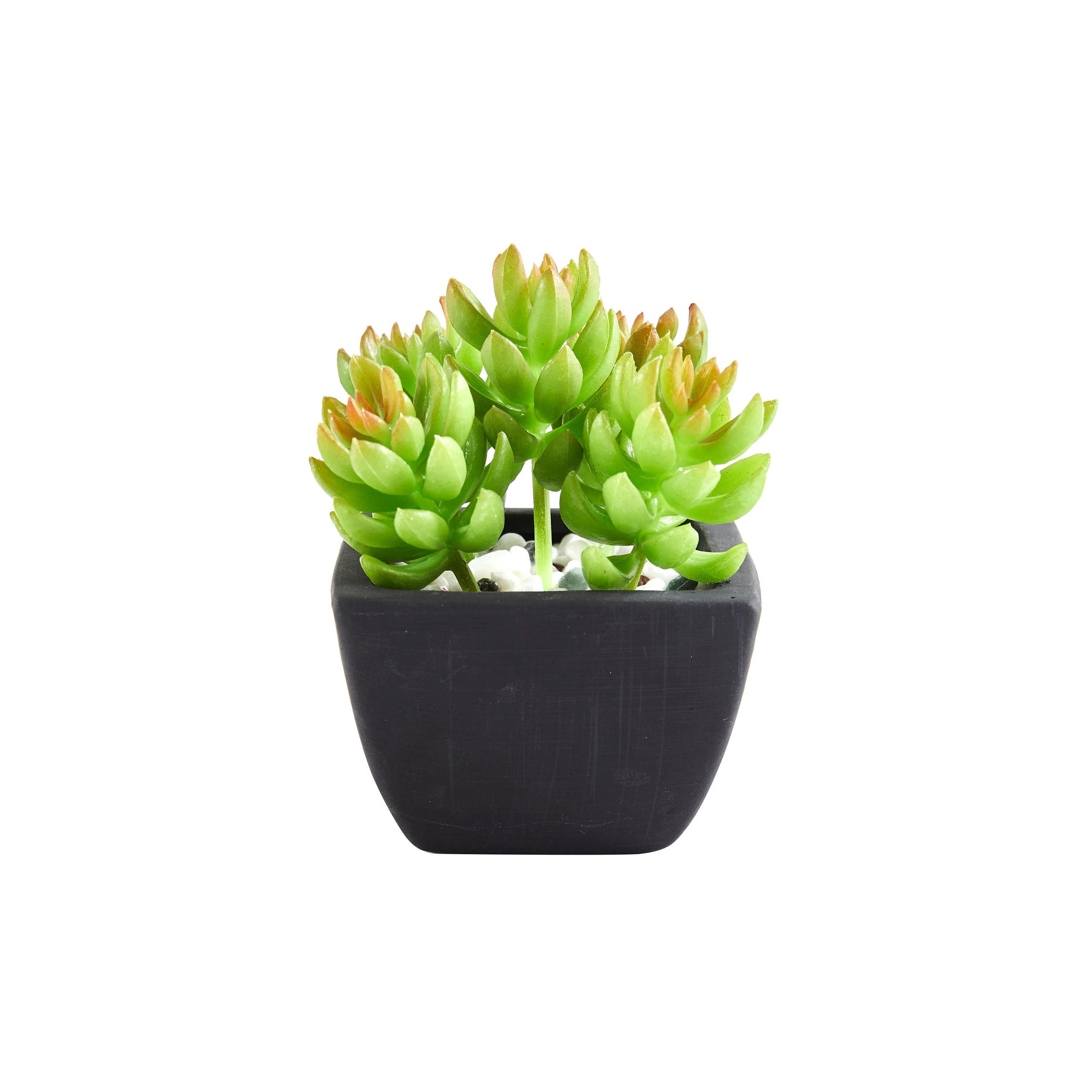 KUNSTPFLANZE Künstliche Sukkulente – Nepomuk 14 cm - Grün, Kunststoff (14cm) - aplanta
