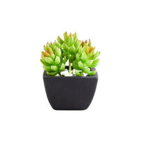 KUNSTPFLANZE Künstliche Sukkulente – Nepomuk 14 cm - Grün, Kunststoff (14cm) - aplanta