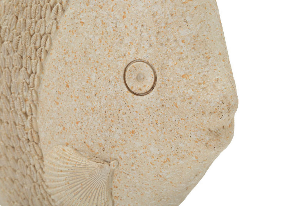 DEKOOBJEKT Fish Sand, beige, Polyresin, 25,3 x 8,6 x 24,5 cm, Motiv: Fische - Beige, Kunststoff (25.3/24.5/8.6cm) - Mauro Ferretti