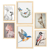 POSTER Set Mit 6 Vogelsammlungen A3 & A4 Rahmen Aus Hellem Holz - Beige, Papier (29/3cm) - Nacnic