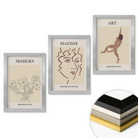 WANDBILDER 3er Set - 20x30 cm Silberner Rahmen - Stilvolle Grafiken, Blumen, Figuren - Silberfarben, Kunststoff (20/30cm) - ArtPrintCave