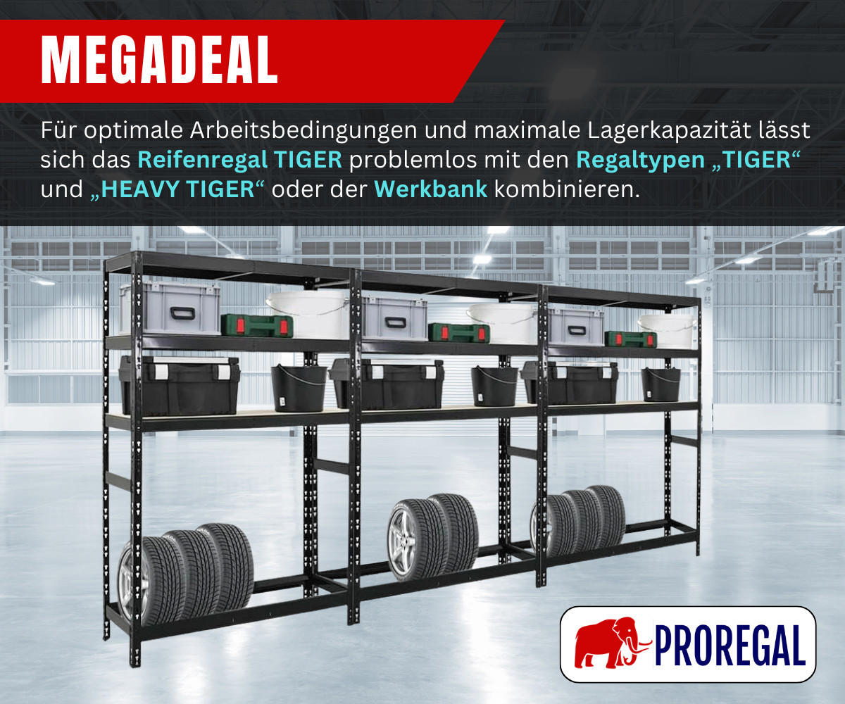 REIFENREGAL Tiger 180x120x40 cm bis zu 6 Reifen auf 1 Ebene + 3 Ablagen Schwarz - Schwarz, Metall (120/180/40cm) - PROREGAL