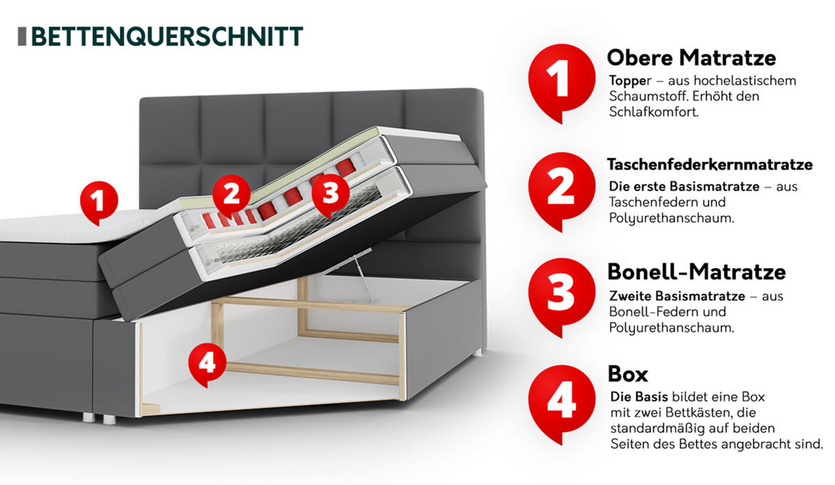BOXBETT Focus Lux - Hellbraun, Holz (120/200cm) - MIRJAN24