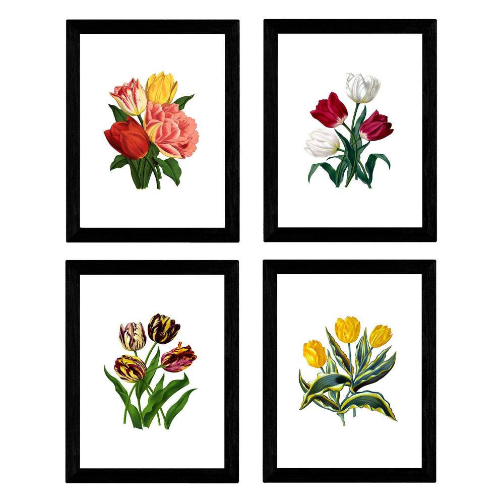 POSTER Set mit 4 Botanische Weiß Hintergrund Tulpen A3 Rahmenlos - Klar, Papier (29.7/3cm) - Nacnic